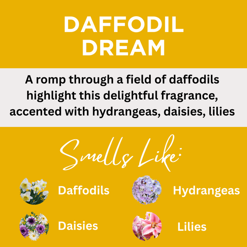Daffodil Dream Scented Argan Oil Hair Conditioner