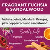 Fragrant Fuchsia & Sandalwood Scented Argan Oil Hair Conditioner