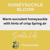 Honeysuckle Bloom Scented Argan Oil Hair Shampoo