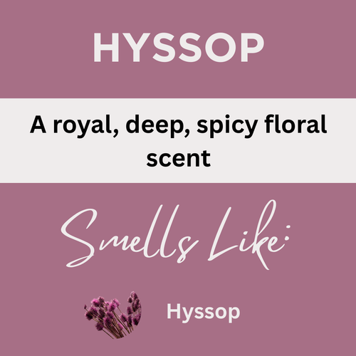 Hyssop Scented Argan Oil Hair Shampoo