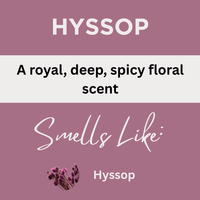 Hyssop Scented Argan Oil Hair Conditioner