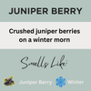 Black Canyon Juniper Berry Scented Body Lotion