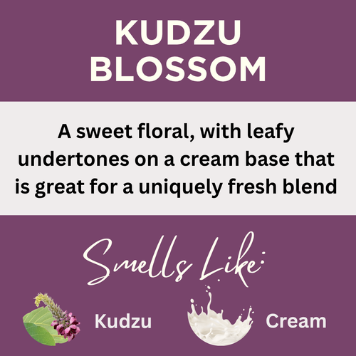 Kudzu Blossom Scented Argan Oil Hair Conditioner