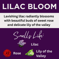 Black Canyon Lilac Bloom Scented Argan Oil Hair Shampoo