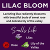 Black Canyon Lilac Bloom Scented Argan Oil Hair Conditioner