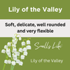 Lily of the Valley Scented Shimmering Body Lotion