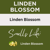 Linden Blossom Scented Massage Oil