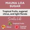 Black Canyon Mauna Loa Sugar Scented Body Lotion