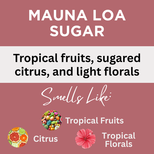 Black Canyon Mauna Loa Sugar Scented Body Lotion