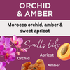 Orchid & Amber Scented Massage Oil
