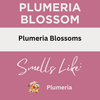 Plumeria Blossom Scented Massage Oil