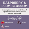Raspberry & Plum Blossom Scented Argan Oil Hair Shampoo