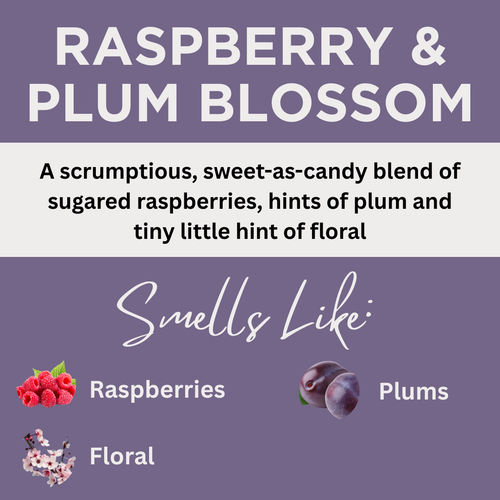 Raspberry & Plum Blossom Scented Argan Oil Hair Conditioner
