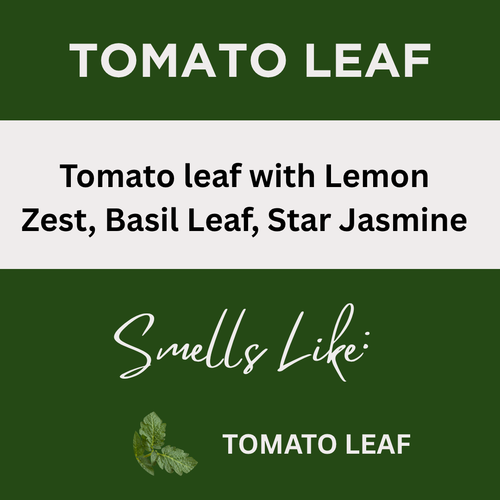 Tomato Leaf Scented Argan Oil Hair Conditioner