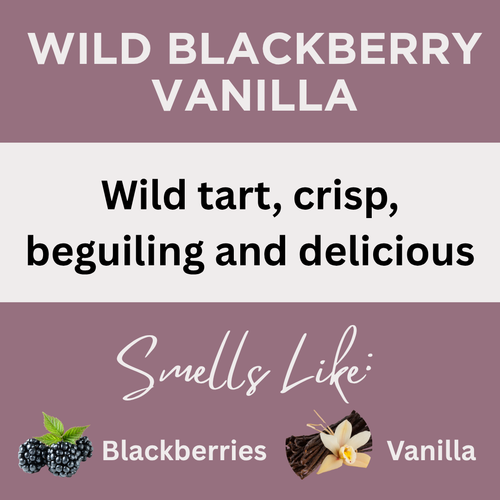 Wild Blackberry Vanilla Scented Protein Hair Gel
