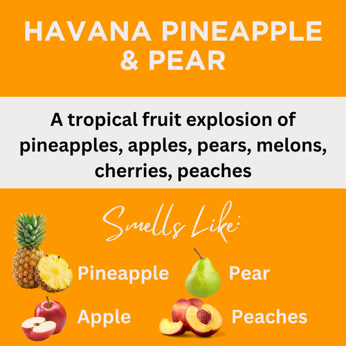 Havana Pineapple & Pear Scented Argan Oil Hair Shampoo