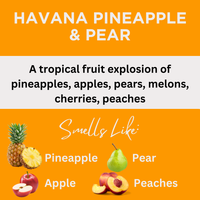 Havana Pineapple & Pear Scented Argan Oil Hair Conditioner