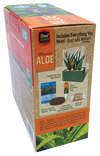 Aloe Seed Square Terrarium