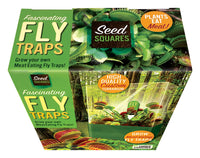 Venus Fly Trap Seed Square Terrarium