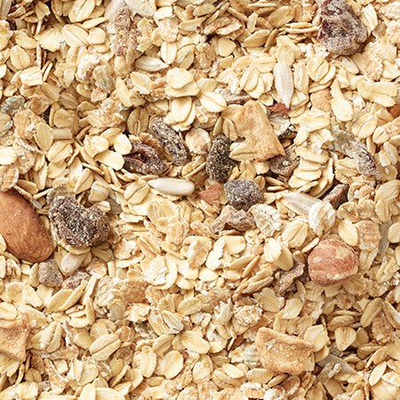 Swiss Style Muesli Grandy Organics