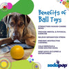 Squeak Ball - Durable Squeaky Dog Toy, Floats, Chew Toy | USA Made
