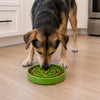 Garden Design eTray - Shallow Slow Feeder Dog Bowl for Enrichment | USA