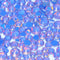 MK Opal Dk Blue / Mix Size(1440pcs)
