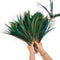 30-35CM / 50PCS