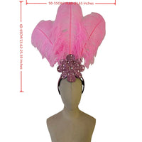 Feather Backpiece and Plume Headdress Set
