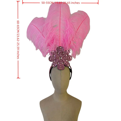 Feather Backpiece and Plume Headdress Set