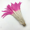 50PCS Two-Tone Rooster Tail Feathers (35-40CM)