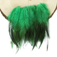 Natural Rooster Craft Feathers Bulk Pack