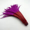 Rose Red Red / 35-40CM