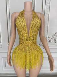 Crystal Rhinestone Fringe Sleeveless Bodysuit & Aerial Dance Leotard Costume