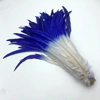 50PCS Two-Tone Rooster Tail Feathers (35-40CM)