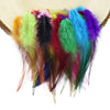 Natural Rooster Craft Feathers Bulk Pack