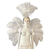 Feather Backpiece and Plume Headdress Set