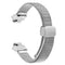 champagne tint silver / For fitbit inspire 2