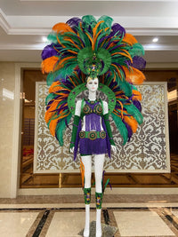 Regal Feathered Backpiece and Rhinestone Costume Set