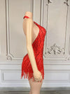 Crystal Rhinestone Fringe Sleeveless Bodysuit & Aerial Dance Leotard Costume