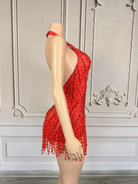 Crystal Rhinestone Fringe Sleeveless Bodysuit & Aerial Dance Leotard Costume