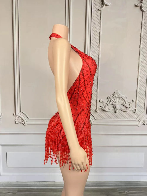 Crystal Rhinestone Fringe Sleeveless Bodysuit & Aerial Dance Leotard Costume