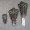 Wholesale Real Peacock Feathers (50-100/lot)