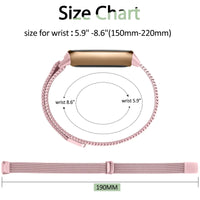 Fitbit Luxe Steel Magnetic Band - Elegant Mesh Design