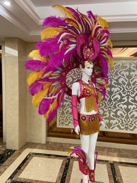 Regal Feathered Backpiece and Rhinestone Costume Set