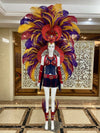 Regal Feathered Backpiece and Rhinestone Costume Set