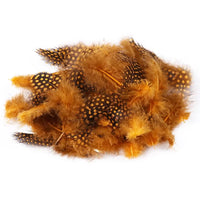 Natural Spotted Guinea Fowl Feathers 100PC