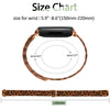 Fitbit Inspire 3 Metal Magnetic Loop Band – Stainless Steel Mesh Strap