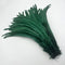 Blackish Green / 35-40CM