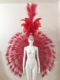 Showgirl Feather Backpiece and Rhinestone Headdress Set